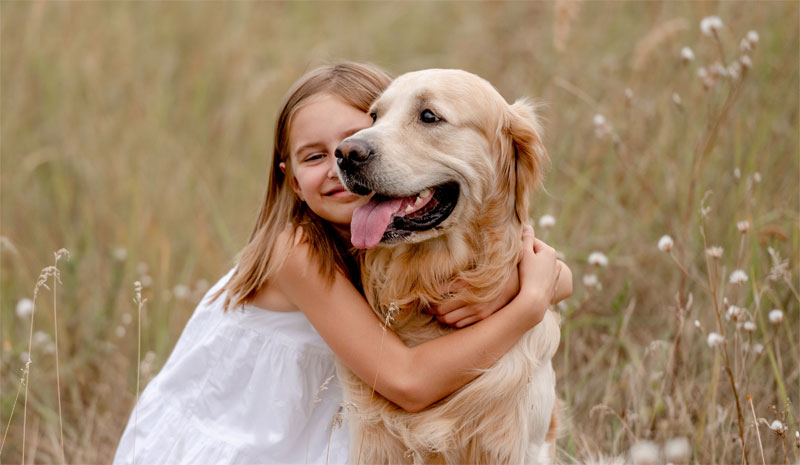 the-5-best-dog-breeds-for-families-with-children-strip1