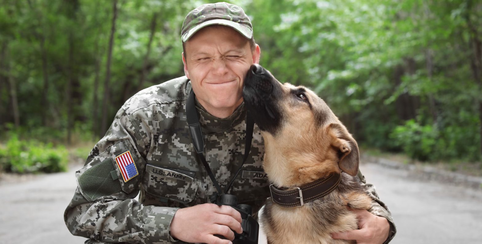 how-emotional-support-dogs-help-people-celebrating-national-pets-for-veterans-day-banner